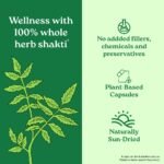 A TATA Product - Organic India Neem Blood Purifier - 60 Veg Capsules, Natural Blood Purifier, Plant-Based Anti-Bacterial, Anti-Viral, With Immunity Boosting Properties, GMP & NPOP Certified Organic - Image 2