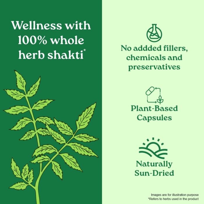 A TATA Product - Organic India Neem Blood Purifier - 60 Veg Capsules, Natural Blood Purifier, Plant-Based Anti-Bacterial, Anti-Viral, With Immunity Boosting Properties, GMP & NPOP Certified Organic - Image 2