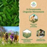 A TATA Product - Organic India Neem Blood Purifier - 60 Veg Capsules, Natural Blood Purifier, Plant-Based Anti-Bacterial, Anti-Viral, With Immunity Boosting Properties, GMP & NPOP Certified Organic - Image 9