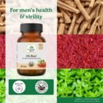 A TATA Product - Organic India OH-Boy - 30 Veg Capsules, Ashwagandha, Musli & Saffron, Helps Improve Men's Health & Vitality, Helps Boost Testosterone Levels, Reduce Stress & Anxiety GMP & NPOP Certified Organic - Image 3