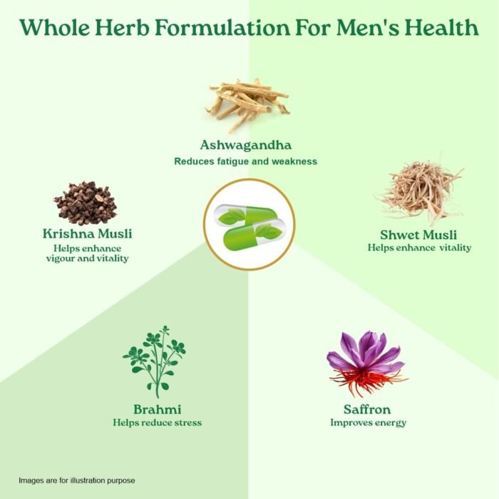 A TATA Product - Organic India OH-Boy - 30 Veg Capsules, Ashwagandha, Musli & Saffron, Helps Improve Men's Health & Vitality, Helps Boost Testosterone Levels, Reduce Stress & Anxiety GMP & NPOP Certified Organic - Image 6