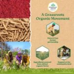 A TATA Product - Organic India OH-Boy - 30 Veg Capsules, Ashwagandha, Musli & Saffron, Helps Improve Men's Health & Vitality, Helps Boost Testosterone Levels, Reduce Stress & Anxiety GMP & NPOP Certified Organic - Image 8