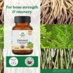 A TATA Product - Organic India Osteoseal 60 Capsule - Bio-available Calcium, Phosphorus & Amino Acids, Helps Increase Bone Mineral Density, Healthy Bone & Teeth GMP & NPOP Certified Organic - Image 2