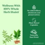 A TATA Product - Organic India Prostate Care - 60 Veg Capsules, Supports Healthy Prostate & Urinary Tract Function & Restore Energy Level, Immunity & Male Reproductive Vitality, GMP & NPOP Certified - Image 5