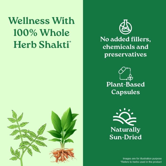 A TATA Product - Organic India Prostate Care - 60 Veg Capsules, Supports Healthy Prostate & Urinary Tract Function & Restore Energy Level, Immunity & Male Reproductive Vitality, GMP & NPOP Certified - Image 5