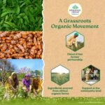 A TATA Product - Organic India Prostate Care - 60 Veg Capsules, Supports Healthy Prostate & Urinary Tract Function & Restore Energy Level, Immunity & Male Reproductive Vitality, GMP & NPOP Certified - Image 8