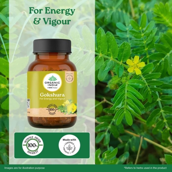 A TATA Product - Organic India Pure Gokshura 60 Capsules,(400mg), Enhance Endurance, Promotes Vitality, Support Men's Wellness & Boost Stamina, GMP & NPOP Certified - Image 2