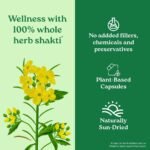 A TATA Product - Organic India Pure Gokshura 60 Capsules,(400mg), Enhance Endurance, Promotes Vitality, Support Men's Wellness & Boost Stamina, GMP & NPOP Certified - Image 4
