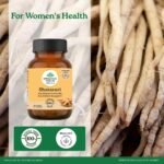 A TATA Product - Organic India Shatavari - 60 Veg Capsules, With Plant Based Estrogens, Helps Boosts Health and Vitality For Women Of All Ages & Restore Hormonal Balance, GMP & NPOP Certified Organic - Image 3