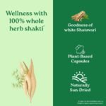 A TATA Product - Organic India Shatavari - 60 Veg Capsules, With Plant Based Estrogens, Helps Boosts Health and Vitality For Women Of All Ages & Restore Hormonal Balance, GMP & NPOP Certified Organic - Image 5