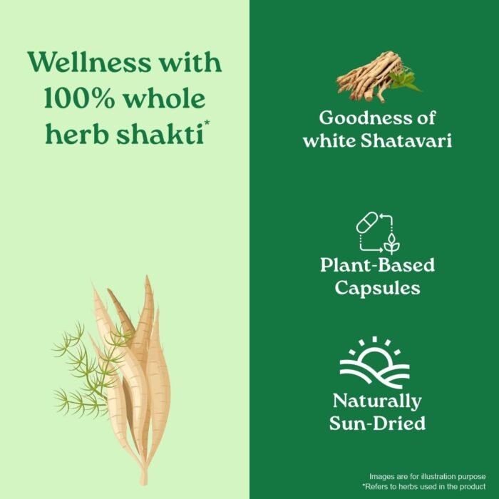 A TATA Product - Organic India Shatavari - 60 Veg Capsules, With Plant Based Estrogens, Helps Boosts Health and Vitality For Women Of All Ages & Restore Hormonal Balance, GMP & NPOP Certified Organic - Image 5