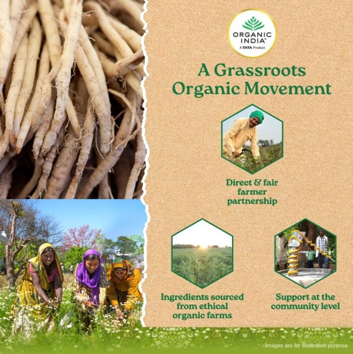 A TATA Product - Organic India Shatavari - 60 Veg Capsules, With Plant Based Estrogens, Helps Boosts Health and Vitality For Women Of All Ages & Restore Hormonal Balance, GMP & NPOP Certified Organic - Image 8