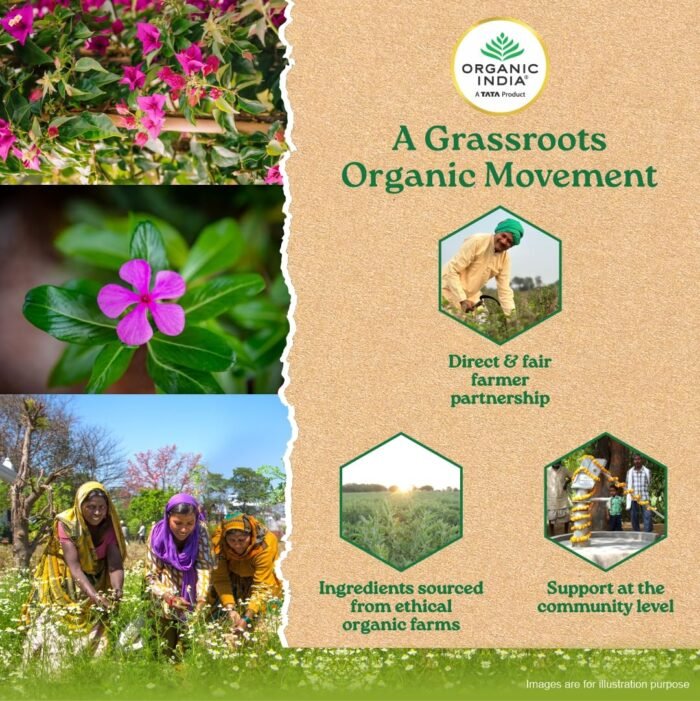 A TATA Product - Organic India Sugar Balance - 60 Veg Capsules, Naturally Supports Healthy Insulin Response & Glycemic Control, Normalize Energy Levels & Metabolism, GMP & NPOP Certified Organic - Image 7