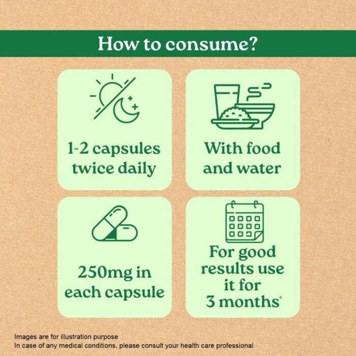 A TATA Product - Organic India Sugar Balance - 60 Veg Capsules, Naturally Supports Healthy Insulin Response & Glycemic Control, Normalize Energy Levels & Metabolism, GMP & NPOP Certified Organic - Image 8