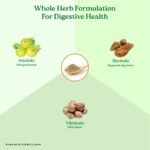 A TATA Product - Organic India Triphala Capsules - 60 Caps, Supports Immune System, Colon & Digestion, Balanced Bowel & Gut Health, Contains Bioactives and Antioxidants, GMP & NPOP Certified Organic - Image 6