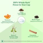 A TATA Product - Organic India Tulsi Ginger Turmeric - 25 Tea Bags, Boosts Immunity, Supports Healing & Recovery, Rich in Antioxidants, Made with Tulsi, Turmeric, Cinnamon, and Pepper - Image 5