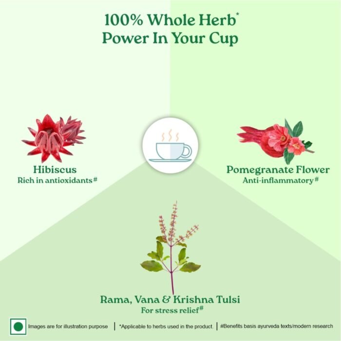 A TATA Product - Organic India Tulsi Green Tea Pomegranate - 25 Tea Bags, Certified Organic, Stress Relief, Rich in Antioxidant, Tulsi & Pomegranate Infusion - Image 4