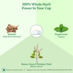 A TATA Product - Organic India Tulsi Mulethi - 25 Tea Bags, Rich in Antioxidants, Eases Cough & Cold Symptoms, Stress Relieving, Boosts Immunity, Caffeine-Free, Whole Herbs Certified Organic - Image 4