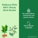 A TATA Product - Organic India Turmeric Formula - 60 Veg Capsules - Image 5