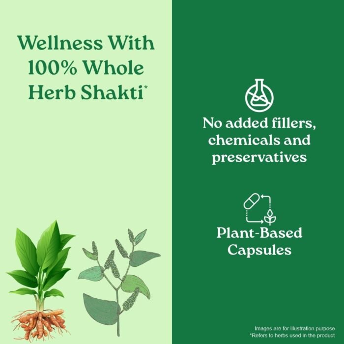 A TATA Product - Organic India Turmeric Formula - 60 Veg Capsules - Image 5