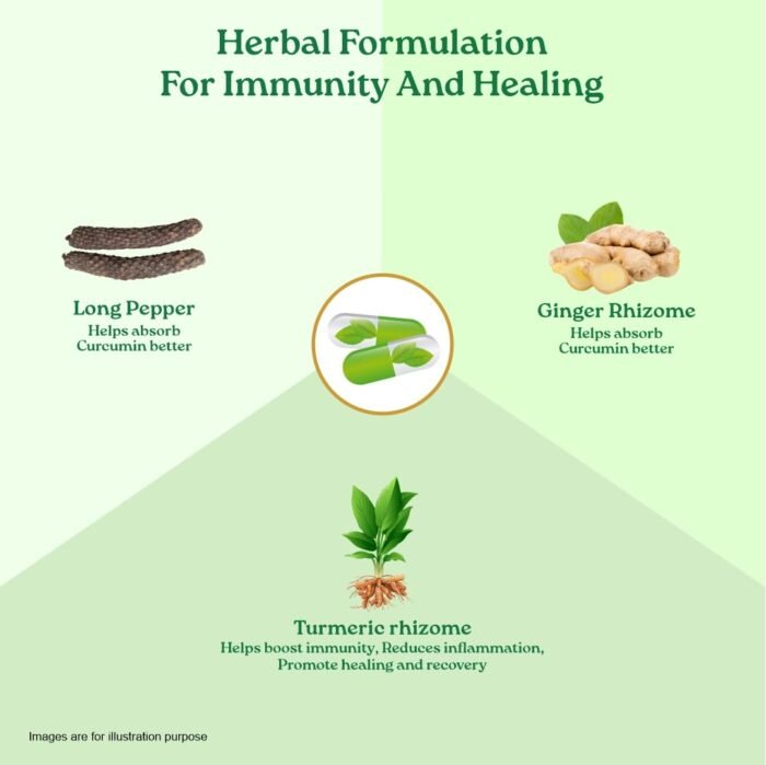 A TATA Product - Organic India Turmeric Formula - 60 Veg Capsules - Image 6