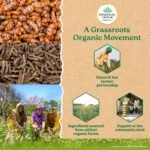 A TATA Product - Organic India Turmeric Formula - 60 Veg Capsules - Image 8