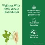 A TATA Product - Organic India Women's Well Being - 60 Veg Capsules, Plant Based Estrogens, Boosts Health & Vitality For Women Of All Ages & Restore Hormonal Balance, GMP & NPOP Certified Organic - Image 5