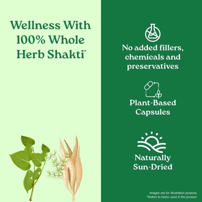 A TATA Product - Organic India Women's Well Being - 60 Veg Capsules, Plant Based Estrogens, Boosts Health & Vitality For Women Of All Ages & Restore Hormonal Balance, GMP & NPOP Certified Organic - Image 5