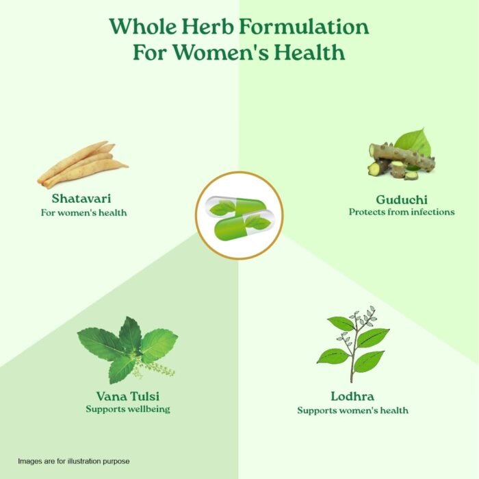 A TATA Product - Organic India Women's Well Being - 60 Veg Capsules, Plant Based Estrogens, Boosts Health & Vitality For Women Of All Ages & Restore Hormonal Balance, GMP & NPOP Certified Organic - Image 6