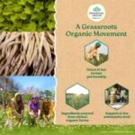 A TATA Product - Organic India Women's Well Being - 60 Veg Capsules, Plant Based Estrogens, Boosts Health & Vitality For Women Of All Ages & Restore Hormonal Balance, GMP & NPOP Certified Organic - Image 8