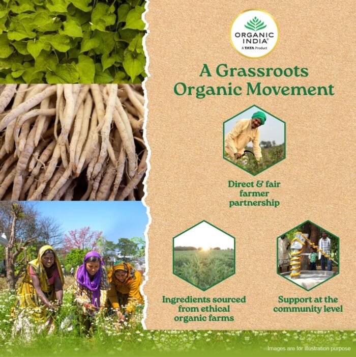 A TATA Product - Organic India Women's Well Being - 60 Veg Capsules, Plant Based Estrogens, Boosts Health & Vitality For Women Of All Ages & Restore Hormonal Balance, GMP & NPOP Certified Organic - Image 8