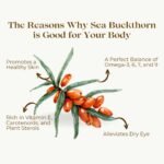 Namo Organics Himalayan Sea buckthorn Dry Berry 200gm – Natural, Sun-Dried, Rich in Omega 3,6,7 and 9, & Vitamin C, E | Dried Seabuckthorn Berries | No Added Sugar or Preservatives (200 Gm) - Image 4