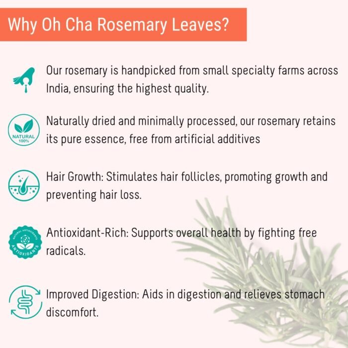 OH CHA Botanics By- Rosemary Turmeric Leaves, 150Gms|Dried Rosemary Leaves For Hair Growth|Can Be Used As Rosemary Oil For Hair, Herbal Rosemary Tea - Image 2