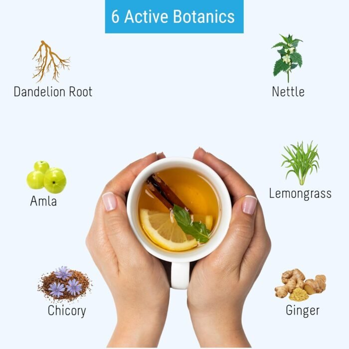 OH CHA - Dandelion Root Tea with Nettle, Amla, Lemongrass, Ginger & Chicory | Herbal Tea, Caffeine Free | Improves Kidney Function | Liver Detox & Kidney Care | 35gms - Image 3