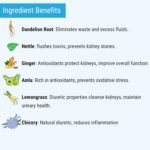 OH CHA - Dandelion Root Tea with Nettle, Amla, Lemongrass, Ginger & Chicory | Herbal Tea, Caffeine Free | Improves Kidney Function | Liver Detox & Kidney Care | 35gms - Image 4