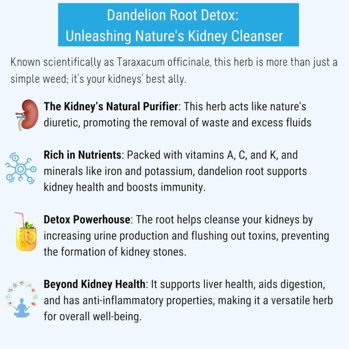 OH CHA - Dandelion Root Tea with Nettle, Amla, Lemongrass, Ginger & Chicory | Herbal Tea, Caffeine Free | Improves Kidney Function | Liver Detox & Kidney Care | 35gms - Image 5