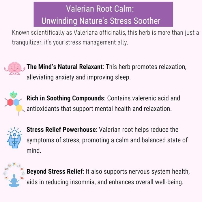 OH CHA - Valerian Root Tea for Stress Relief | Herbal Tea with Valerian Root, Lavender, Lemon Balm, Ashwagandha, Blue Pea Flower, Lemon Honey | Caffeine Free | 35gms - Image 3