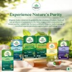 ORGANIC INDIA Organic Elaichi Black Tea - 25 Teabags - Image 8