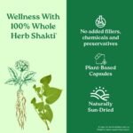 Organic India Flexibility -Pack Of 60 Capsules - Image 5