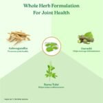 Organic India Flexibility -Pack Of 60 Capsules - Image 6