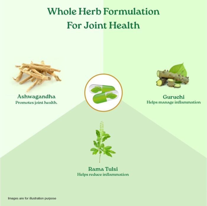 Organic India Flexibility -Pack Of 60 Capsules - Image 6