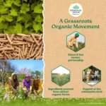 Organic India Flexibility -Pack Of 60 Capsules - Image 8