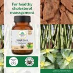 A TATA Product - Organic India Lipid Care - 60 Veg Capsules, Helps In Normal Cholesterol Levels & Lipid Levels, Lower Heart Rate & Blood Pressure, Naturally Rich In Antioxidants, GMP & NPOP Certified - Image 3