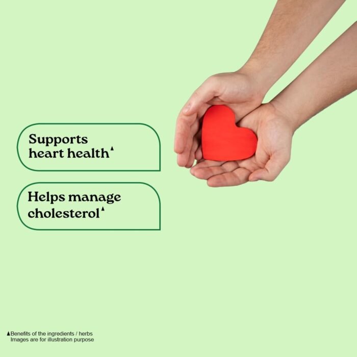 A TATA Product - Organic India Lipid Care - 60 Veg Capsules, Helps In Normal Cholesterol Levels & Lipid Levels, Lower Heart Rate & Blood Pressure, Naturally Rich In Antioxidants, GMP & NPOP Certified - Image 4