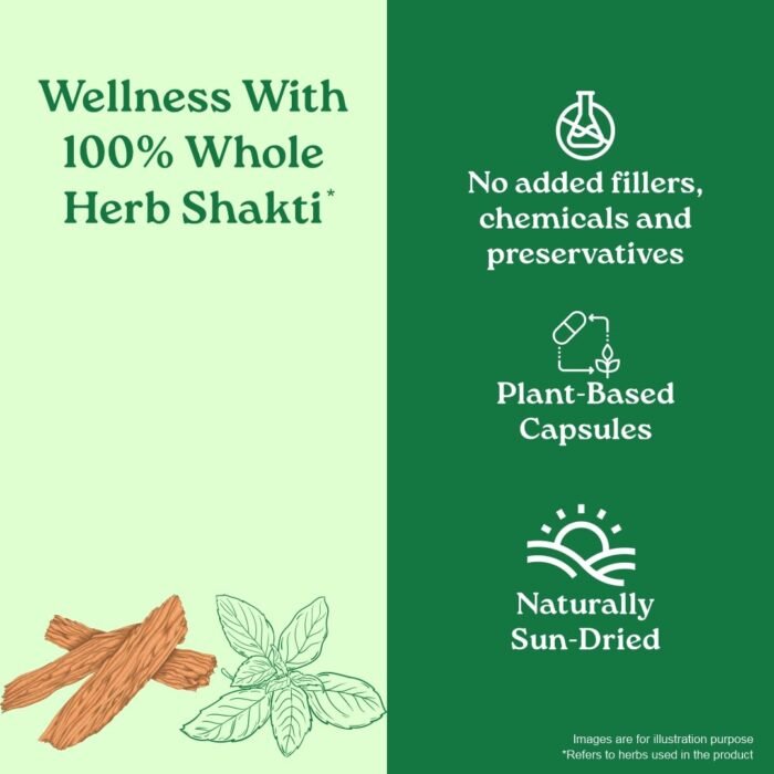 A TATA Product - Organic India Lipid Care - 60 Veg Capsules, Helps In Normal Cholesterol Levels & Lipid Levels, Lower Heart Rate & Blood Pressure, Naturally Rich In Antioxidants, GMP & NPOP Certified - Image 5