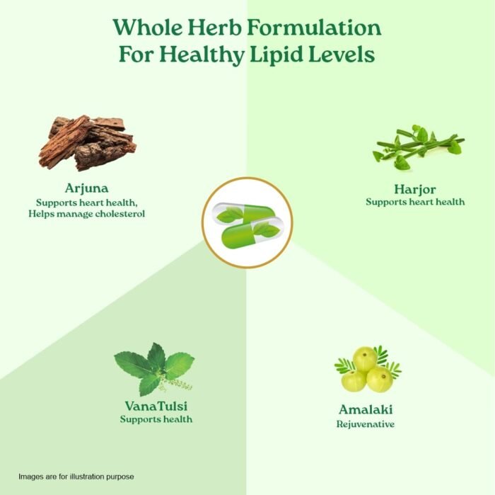 A TATA Product - Organic India Lipid Care - 60 Veg Capsules, Helps In Normal Cholesterol Levels & Lipid Levels, Lower Heart Rate & Blood Pressure, Naturally Rich In Antioxidants, GMP & NPOP Certified - Image 6