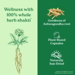 A TATA Product - Organic India Pure Ashwagandha Root Capsules - 60 Veg Caps (400mg), For Vitality & Relieves Stress, Naturally Boosts Energy & Stamina, Improves Immune System, GMP & NPOP Certified - Image 6
