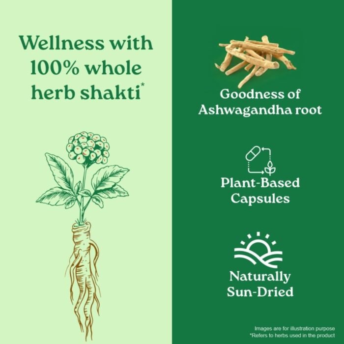 A TATA Product - Organic India Pure Ashwagandha Root Capsules - 60 Veg Caps (400mg), For Vitality & Relieves Stress, Naturally Boosts Energy & Stamina, Improves Immune System, GMP & NPOP Certified - Image 6
