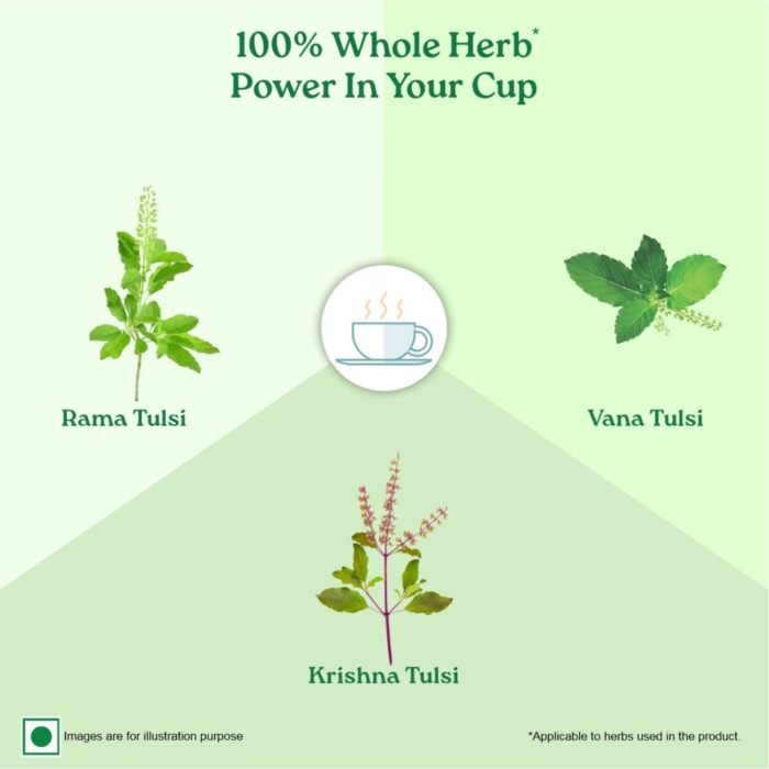 A TATA Product - Organic India Tulsi Green Tea Classic - 25 Tea Bags, Uplifts Mood, Rich in Antioxidants, Blend of Rama, Krishna & Vana Tulsi, Certified Organic - Image 4