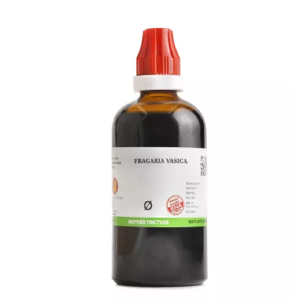 BJain Fragaria Vasica 1X (Q) (100ml) BJain Fragaria Vasica 1X (Q) Mother Tincture (100ml) - Image 1
